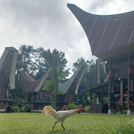 Toraja Homestay & Coffee Bunna Rantepao Exterior photo